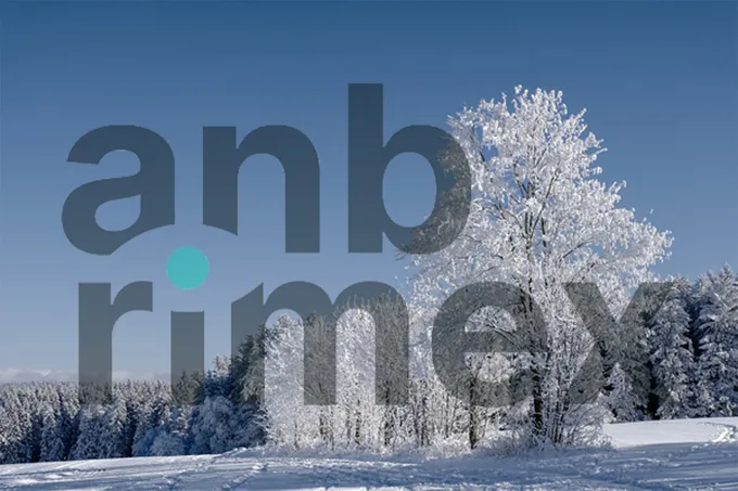 AnB-Rimex logo christmas